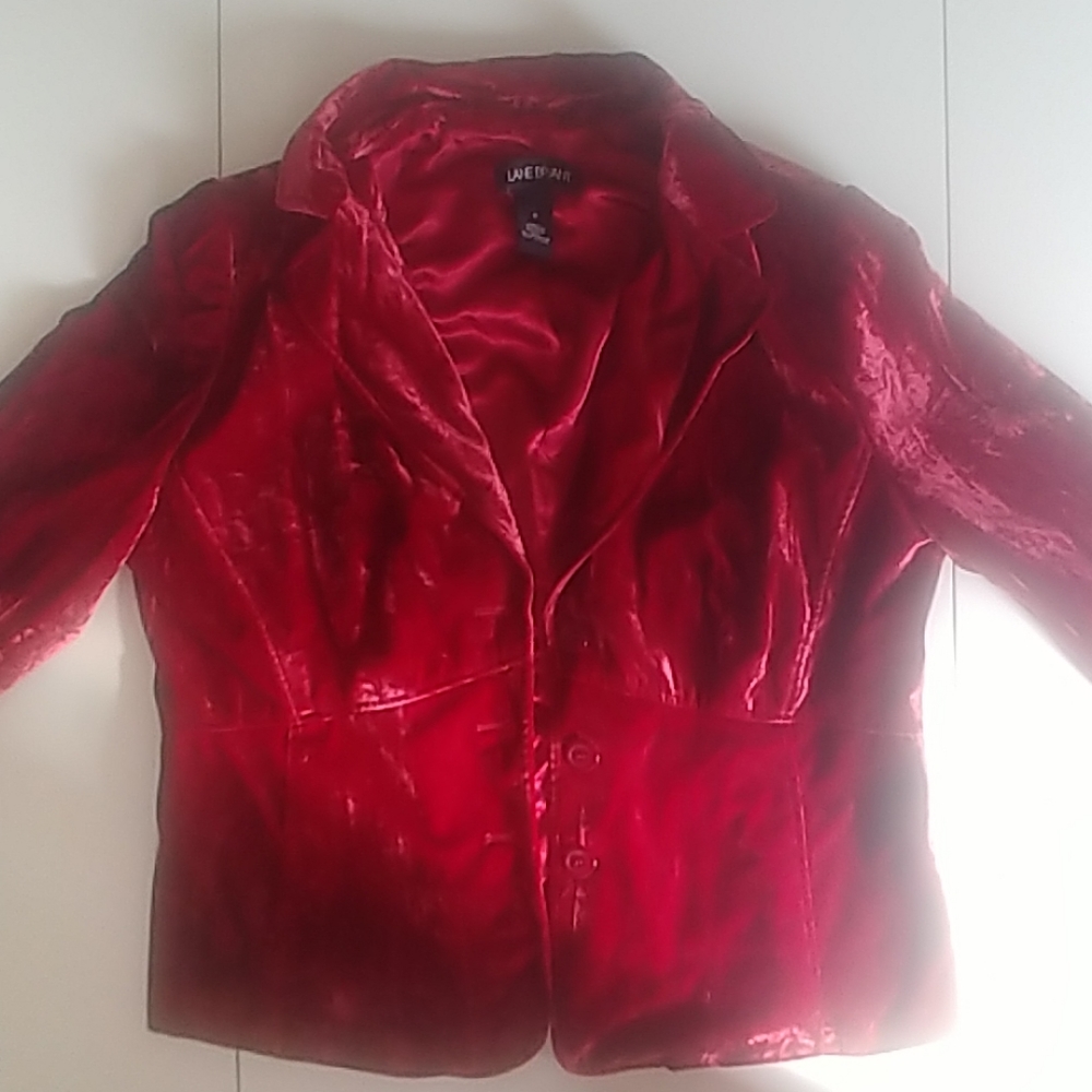 Vintage Red Velvet Blazer